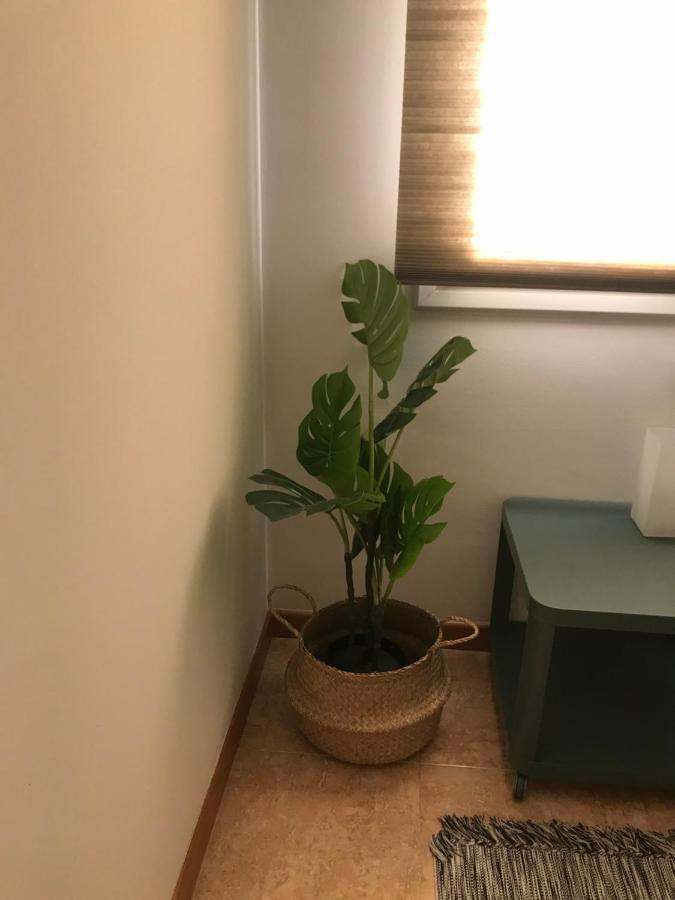Apartamento recién reformado con vistas al río Balaguer Esterno foto